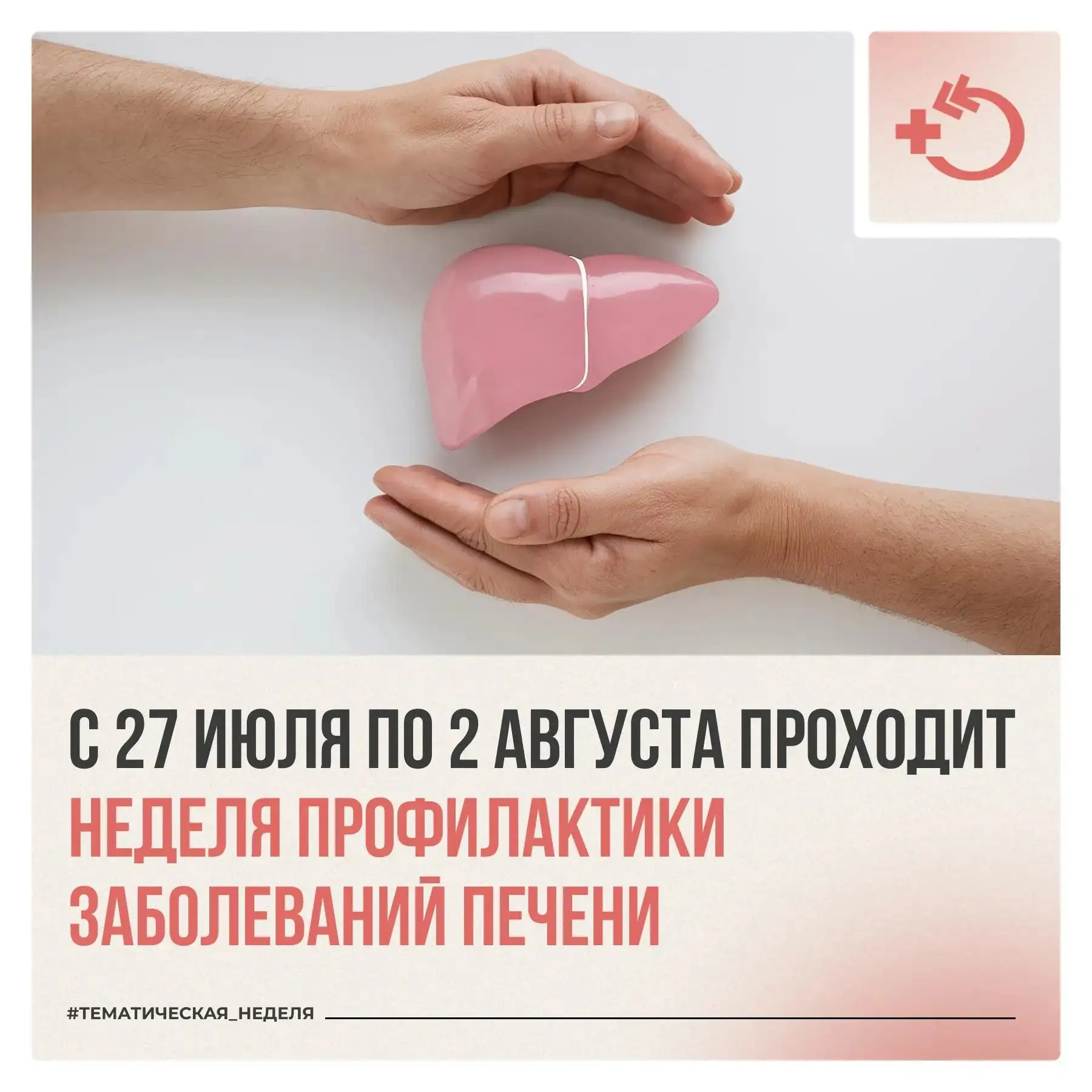 Печень работает непрерывно, выполняя более 500 функций по очистке крови и обмену вещест...