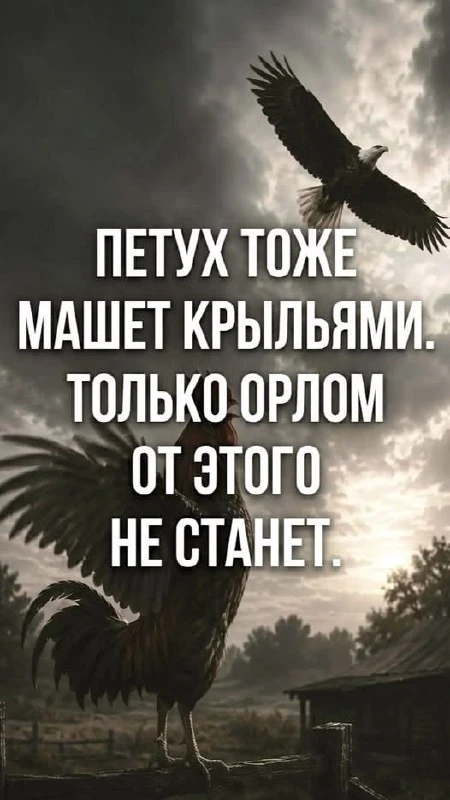 Цитаты  - Подписатьcя