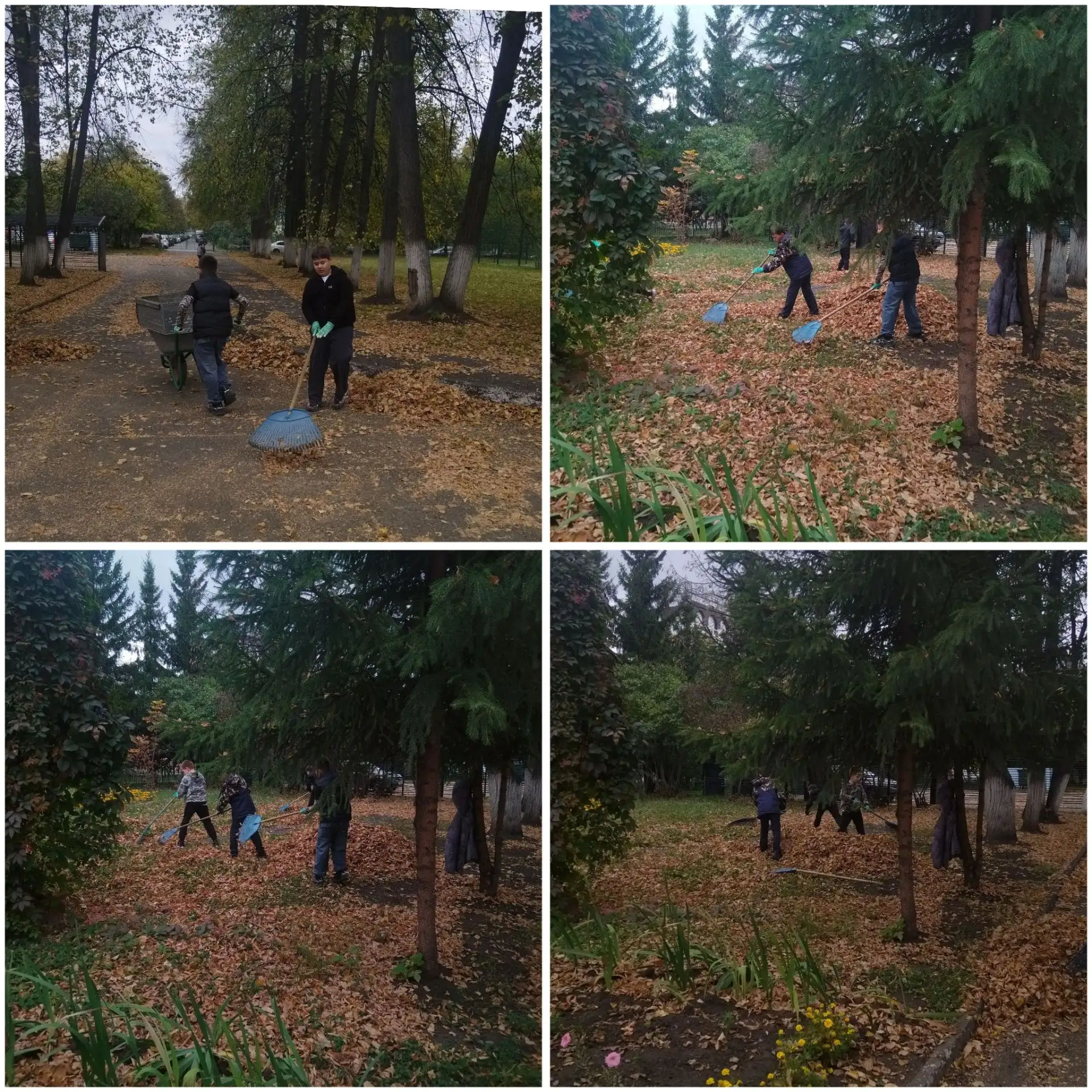🍁🍂Осень — это не только время уборки урожая, но и традиционная пора наведения чистоты...
