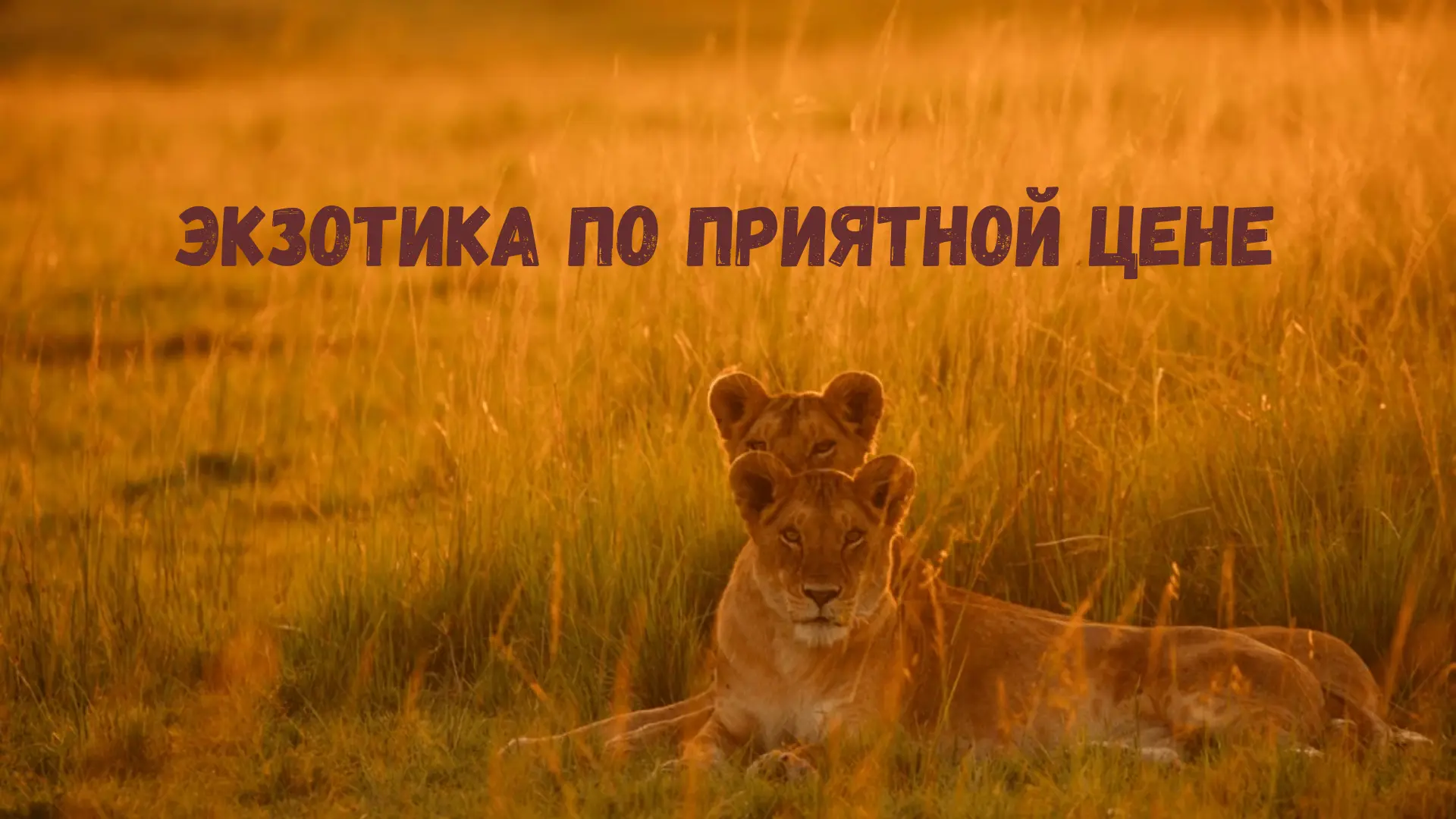 Если хочется чего-то более необычного