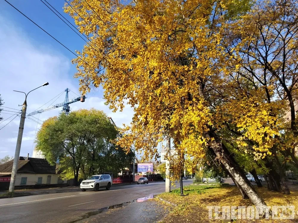 🧣Первые заморозки придут в Приамурье