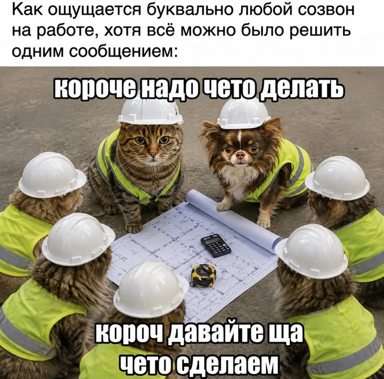 Подпишись на юмор 😂