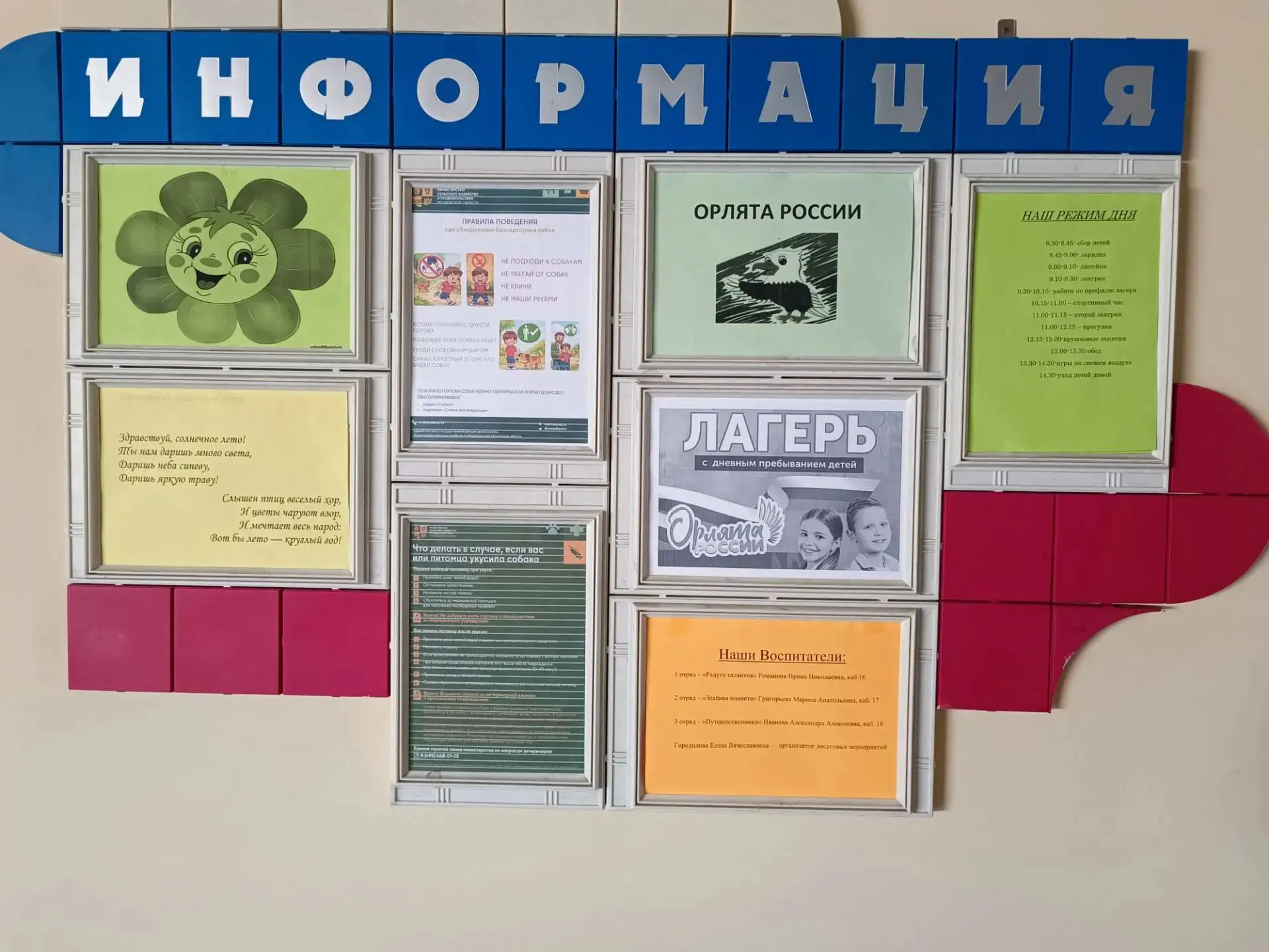 В «Орлятах России» прошёл экстренный ликбез по общению с животными!

17 июля ребятам из школьного ла