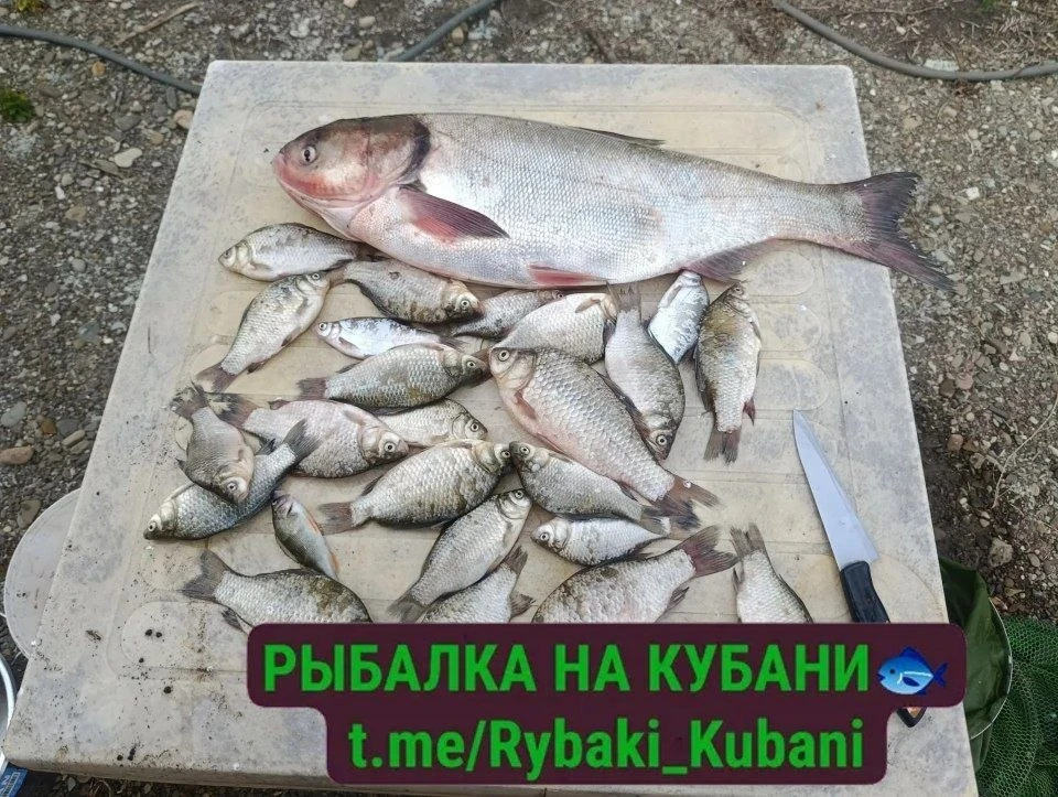 03.07