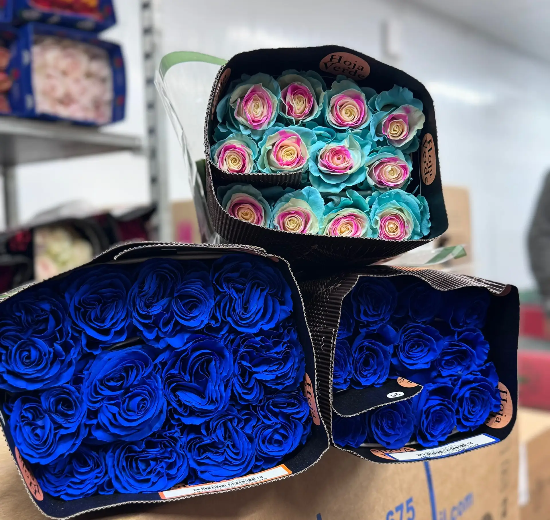 Эквадорская Роза 🌹 

BLUETIFUL😍

SWEET SKY 😍