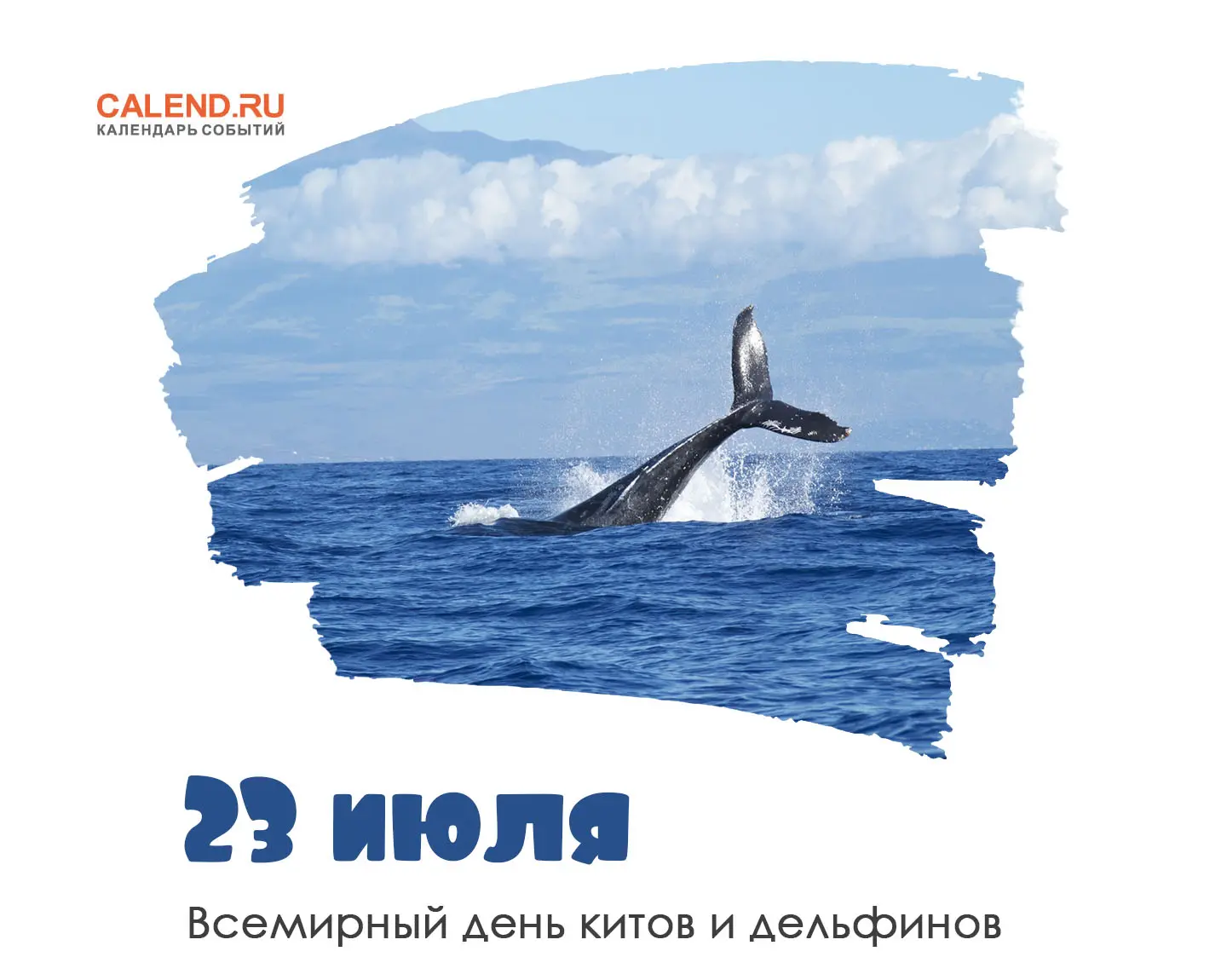 23 июля — это Всемирный день китов и дельфинов. Этот праздник учредили в 1986 году, когда Международ