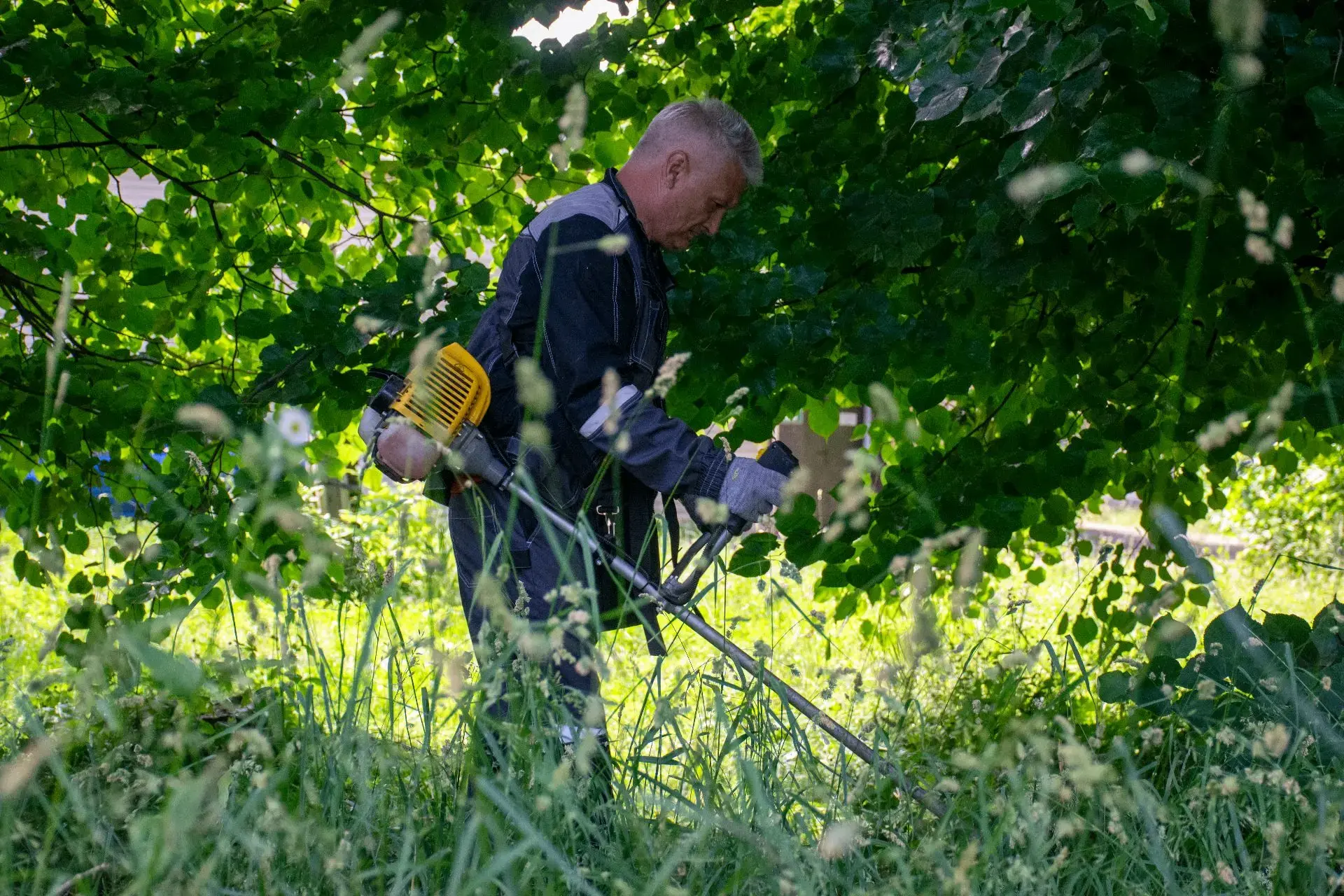 🌿 Покос травы — одна из приоритетных сезонных задач.