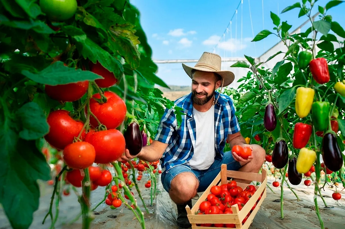 🥕🥒 Как не лишиться урожая к концу лета: Подробный чек-лист дачника, что срочно провер...