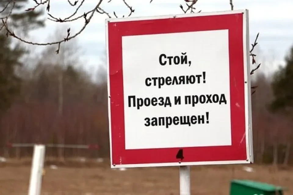 В Воскресенске проходят учения Росгвардии со стрельбой.