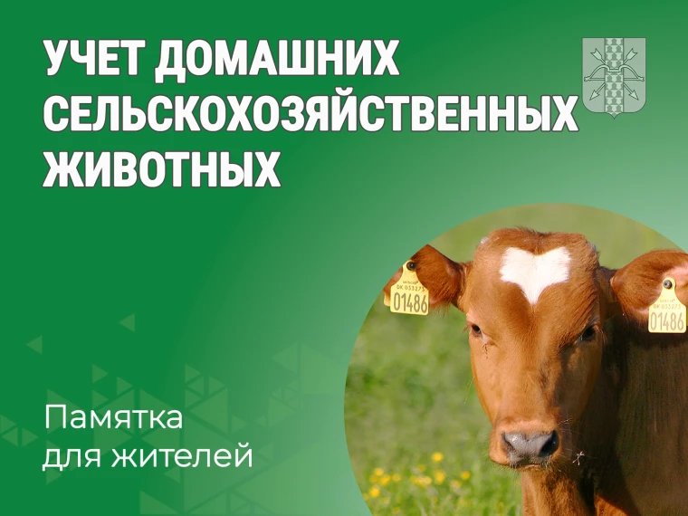 Как и зачем ставить на учет скот или птицу?