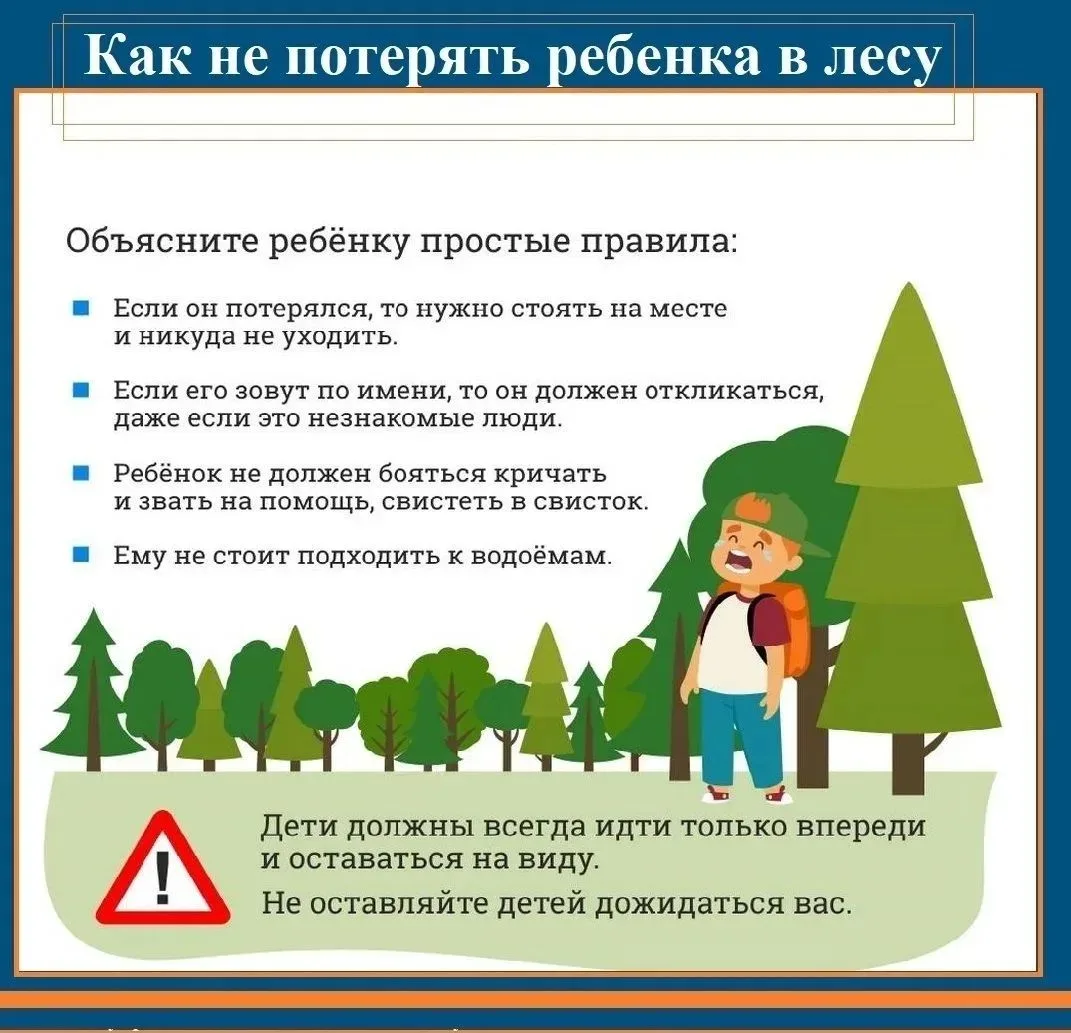 Уважаемые родители/законные представители!

🌲Собираетесь в лес с ребёнком? Сохраните памятку — она 