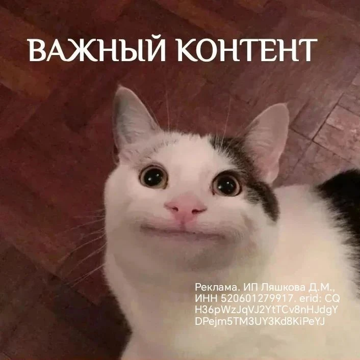 Как продвигать канал в Максе без агрессивных продаж