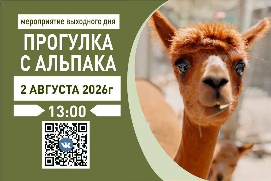 🐾 Мероприятия в зоопарке на выходных