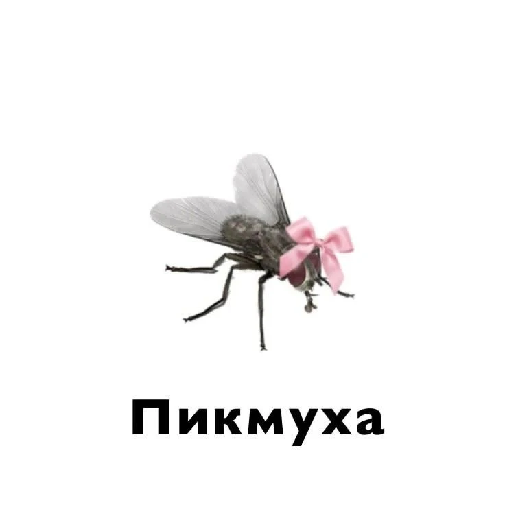 кидай пикмухе