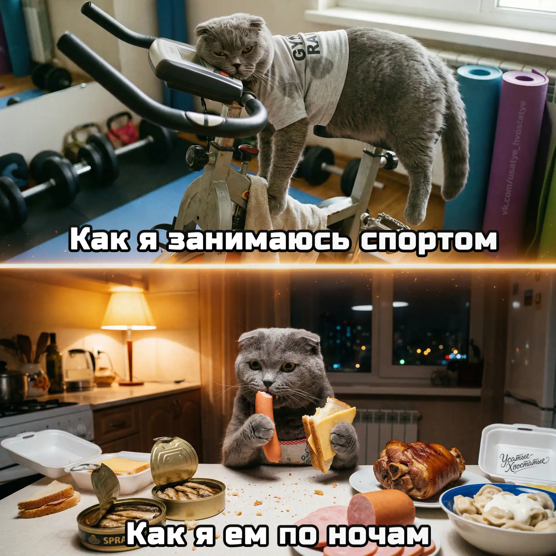 🌭 Снова поздний вечер, свет лампы, холодильник... "Сейчас поем, а завтра скину лишнее" - думала Кэс