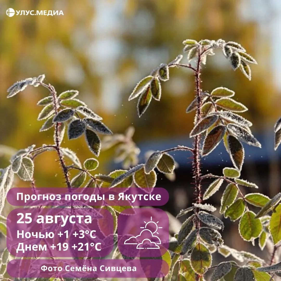 ❄️ От заморозков до +23 градусов: о погоде в Якутии на 25 августа