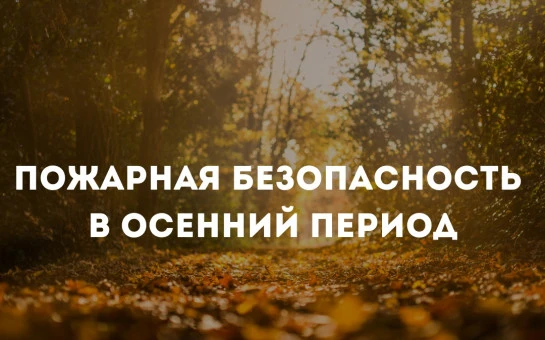 Осень – прекрасное время заняться уборкой садовых участков от накопившегося за лето мус...