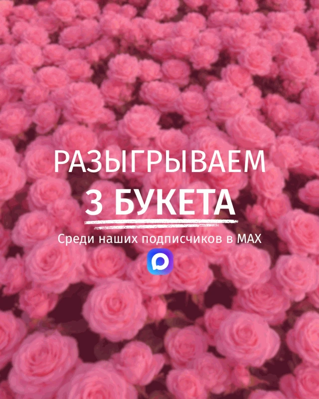 Дорогие друзья!