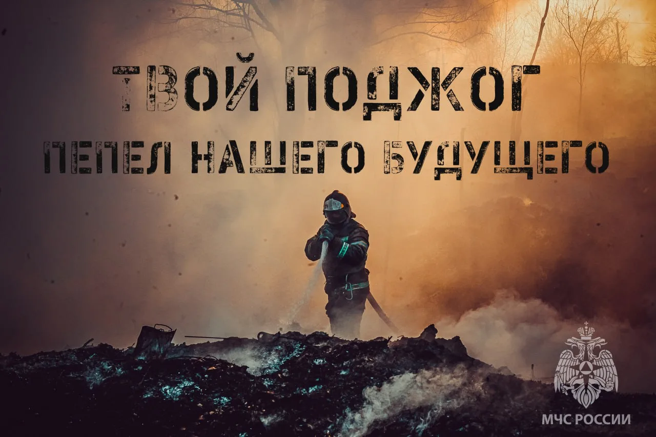 🔥600 ландшафтных пожаров