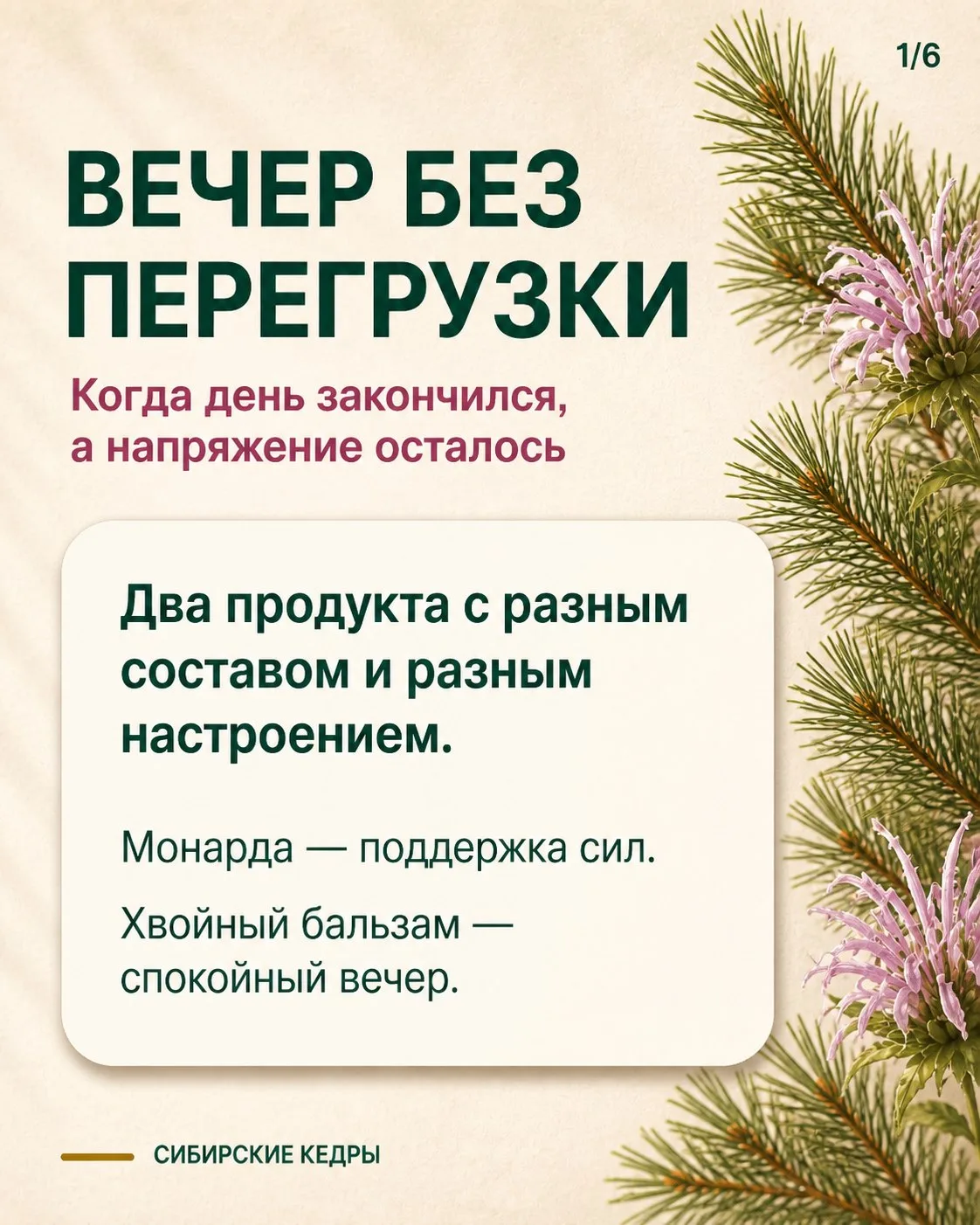 Вечер. День закончился, а напряжение осталось.