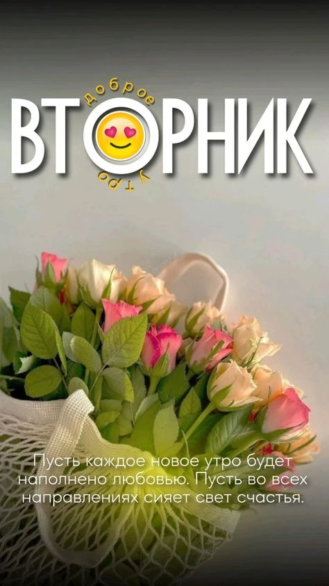 Доброе утро вторника! Пусть этот день будет наполнен энергией, продуктивными делами и хорошим настро