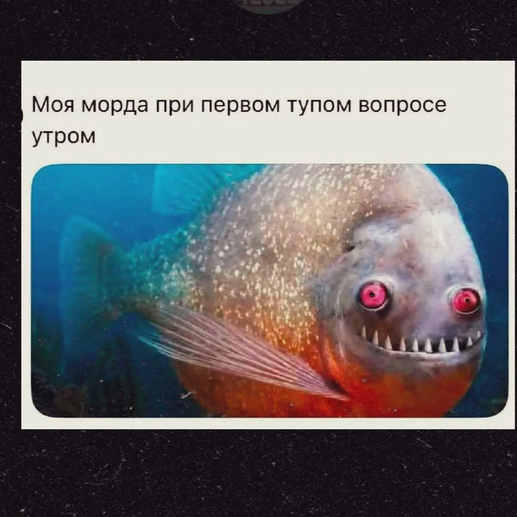 Буквально я сегодня, когда Арина спрашивала, почему нельзя надеть и джинсы и платье одн...
