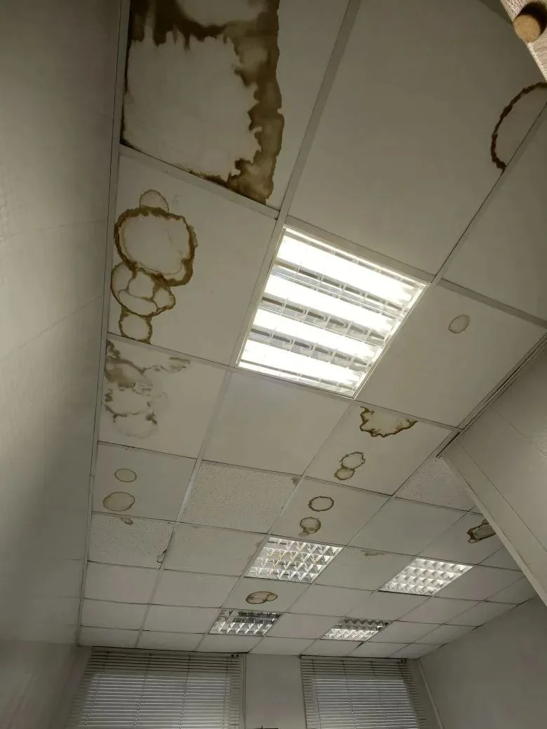 В Балашихе продолжается обсуждение проблем с доступностью медицинского обслуживания.

Жители активно