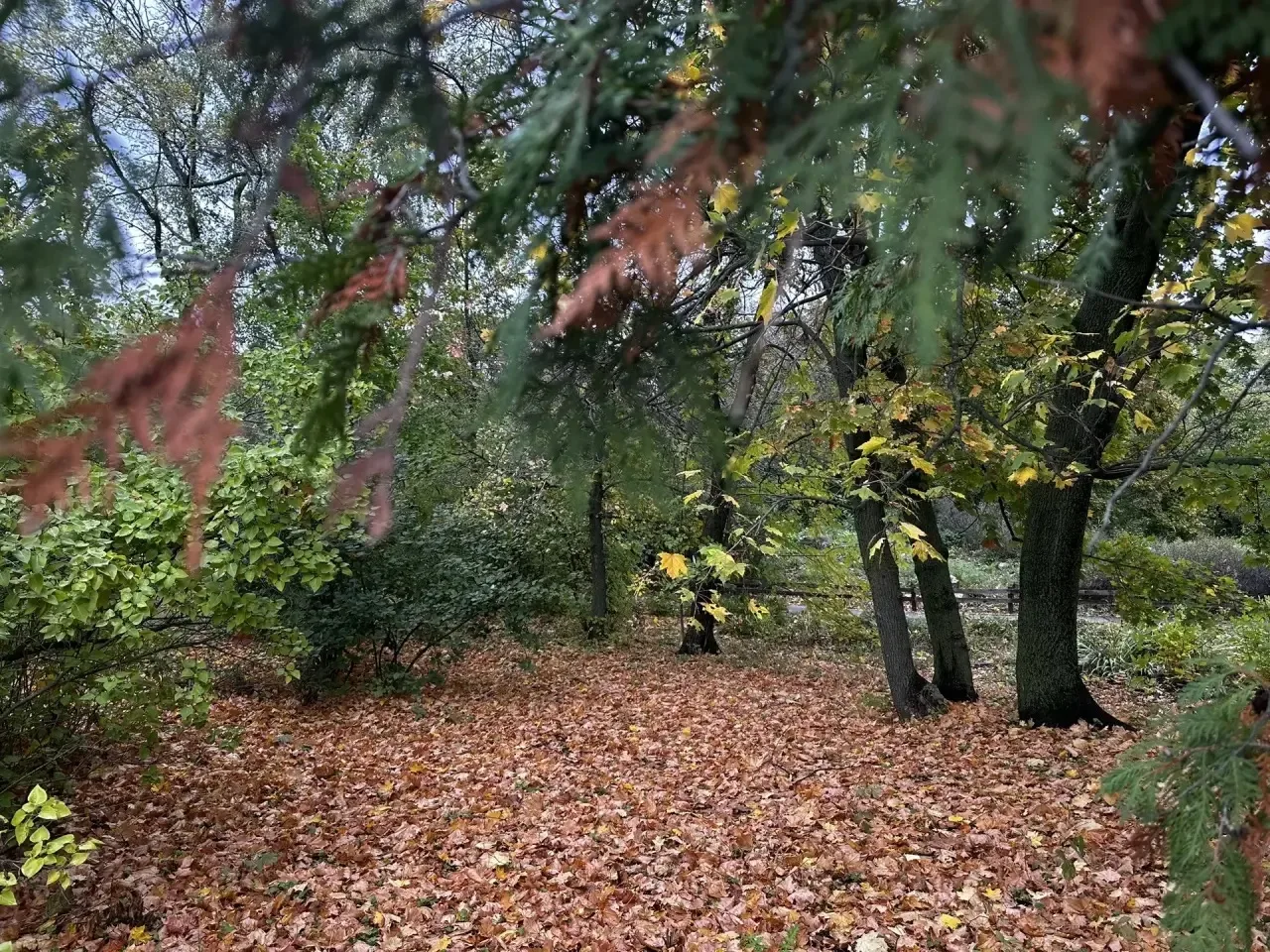 🍁 По-настоящему осенние выходные в Самаре