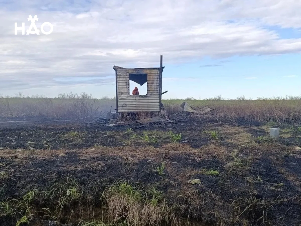В минувшие выходные на территории Заполярного района произошел природный пожар

В субботу, 6 июня,