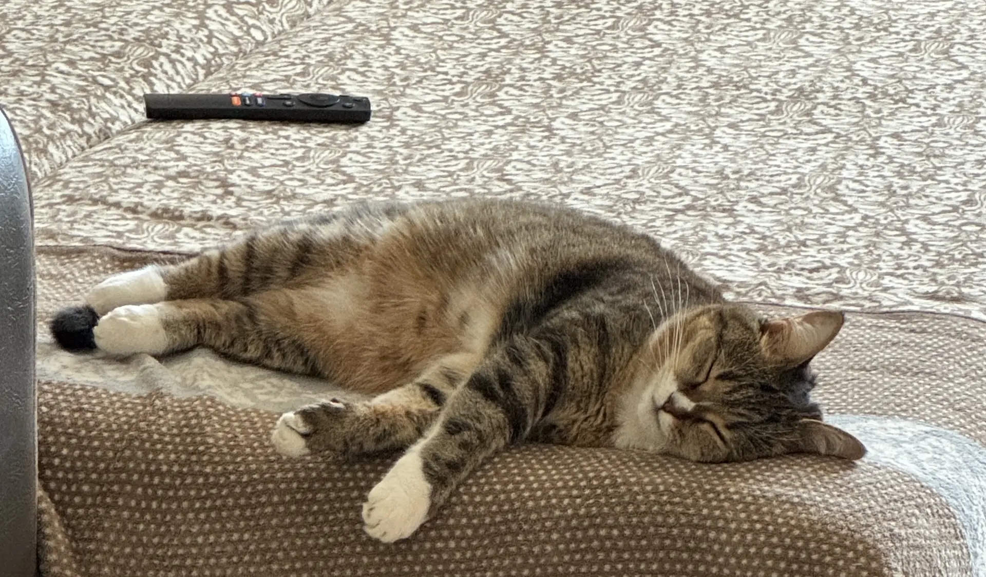Ну что за милота 😻