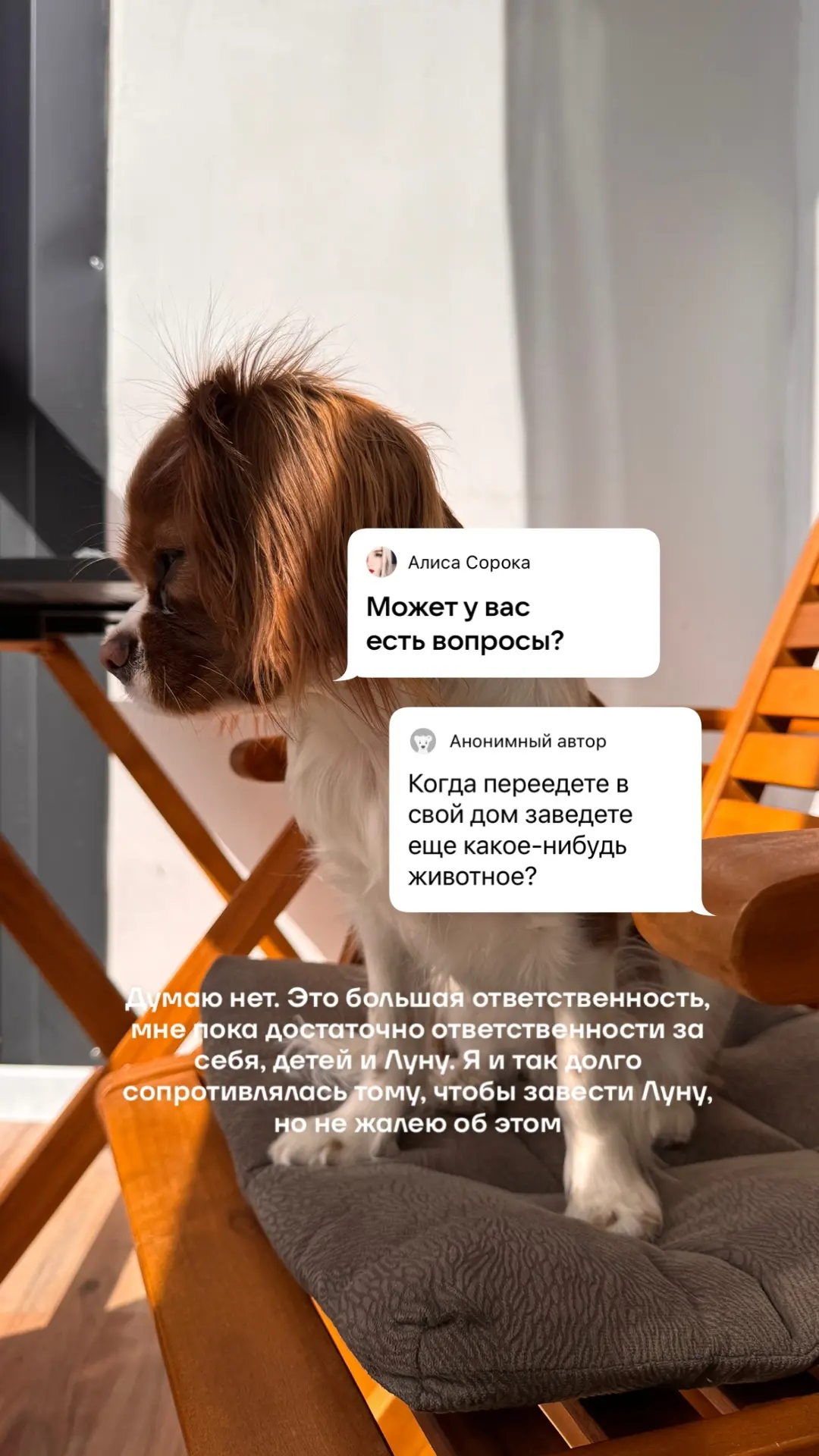 В ВК сегодня ответы на вопросы. Загружу их сюда))  Может у вас тоже есть вопросы, на которые я дам о