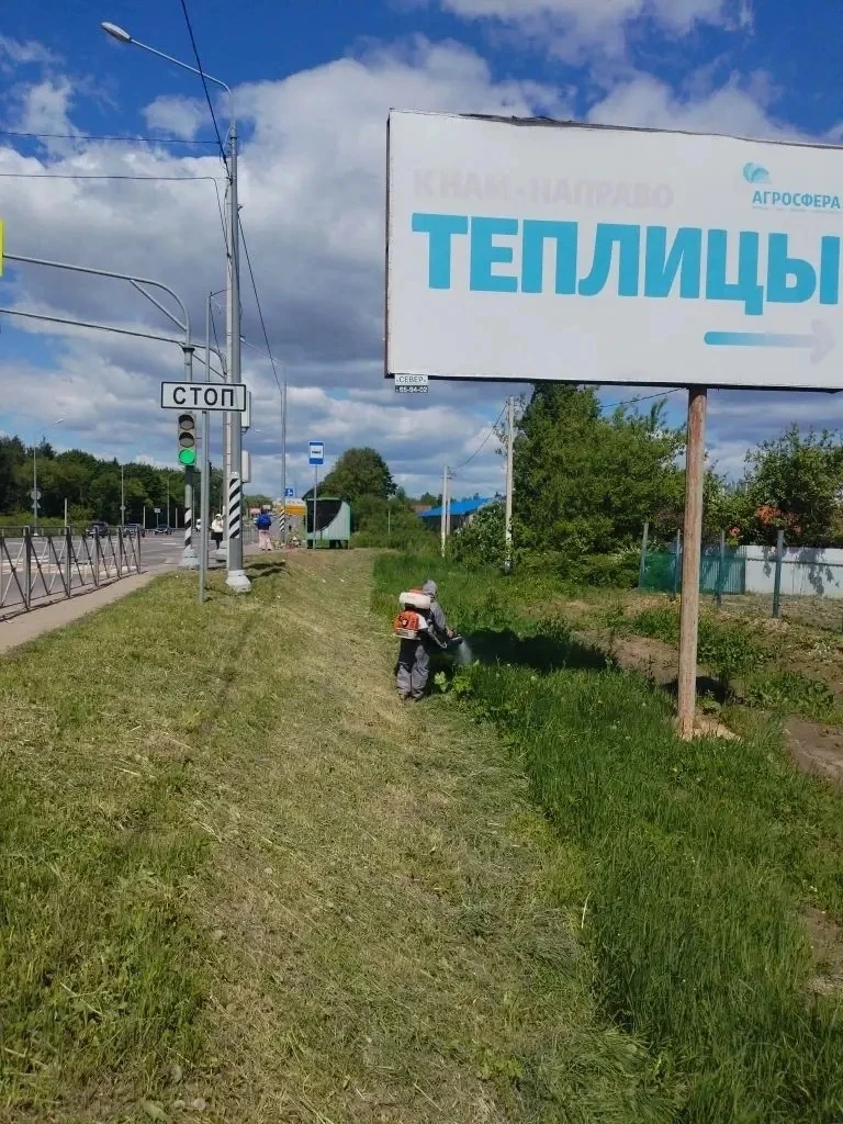 На территории Промышленного района города Смоленска организована работа по борьбе с инв...
