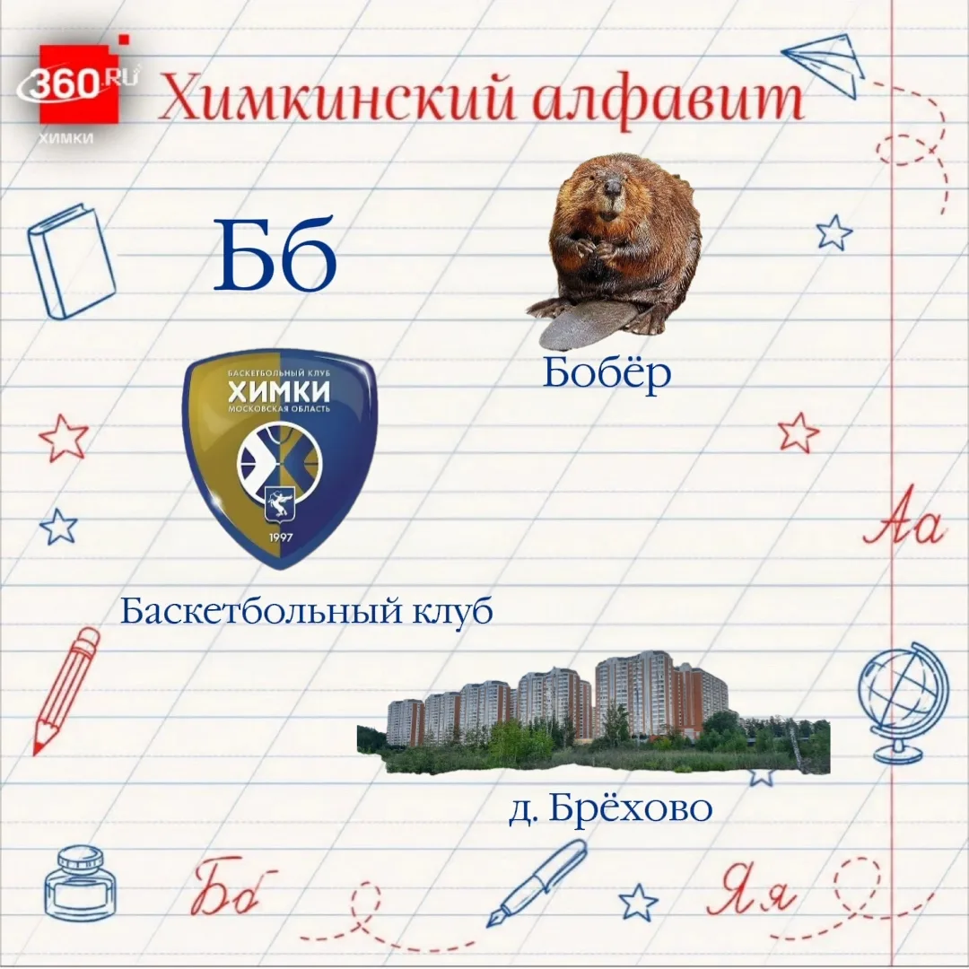 Химкинский алфавит — Б 🖋

Продолжаем изучать наш округ по буквам.

Пришло время — «Б»:

🔻 Бобёр — 