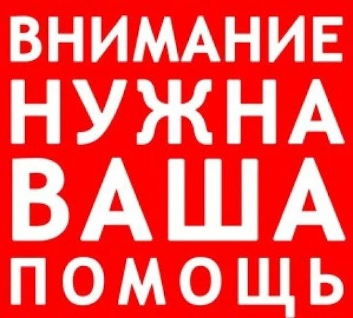 Дорогие друзья!