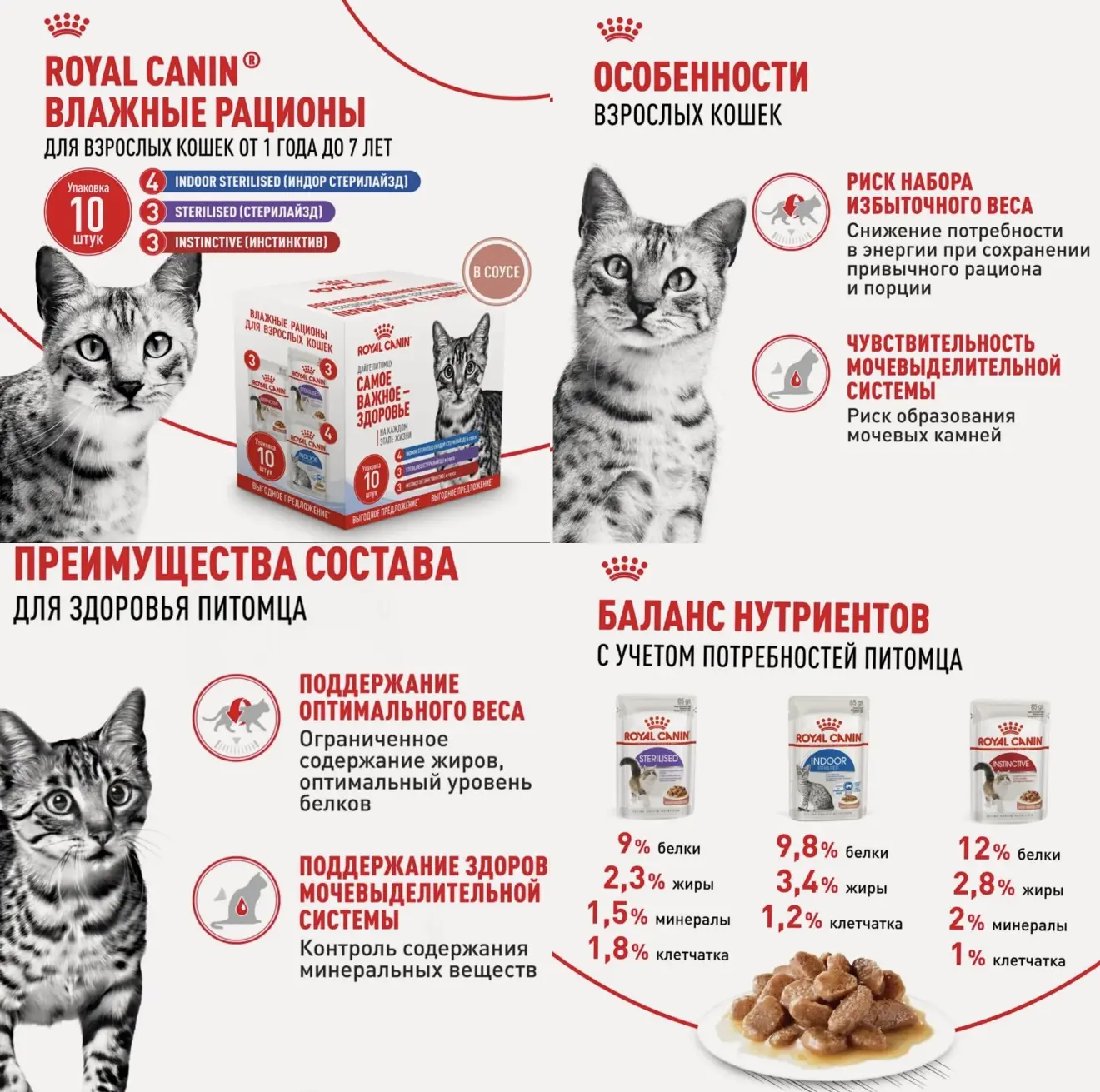 Влажный корм для кошек 10шт