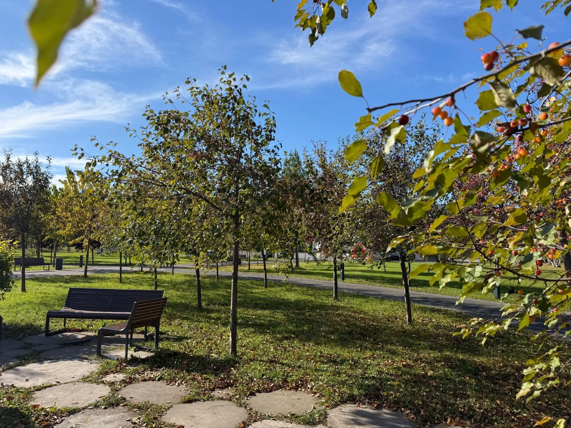 8 ОКТЯБРЬГӘ ҺАВА ТОРЫШЫ 🍂🌤