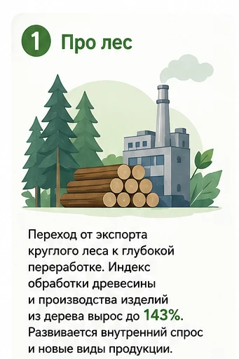 🗣 Министр промышленности и торговли Карелии Светлана Астахова пообщалась со "Столицей ...