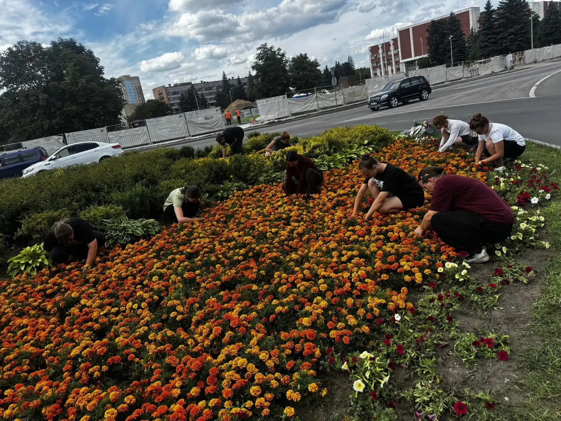 🌸 Как комбинат благоустройства ухаживает за цветочными клумбами — за кулисами городско...