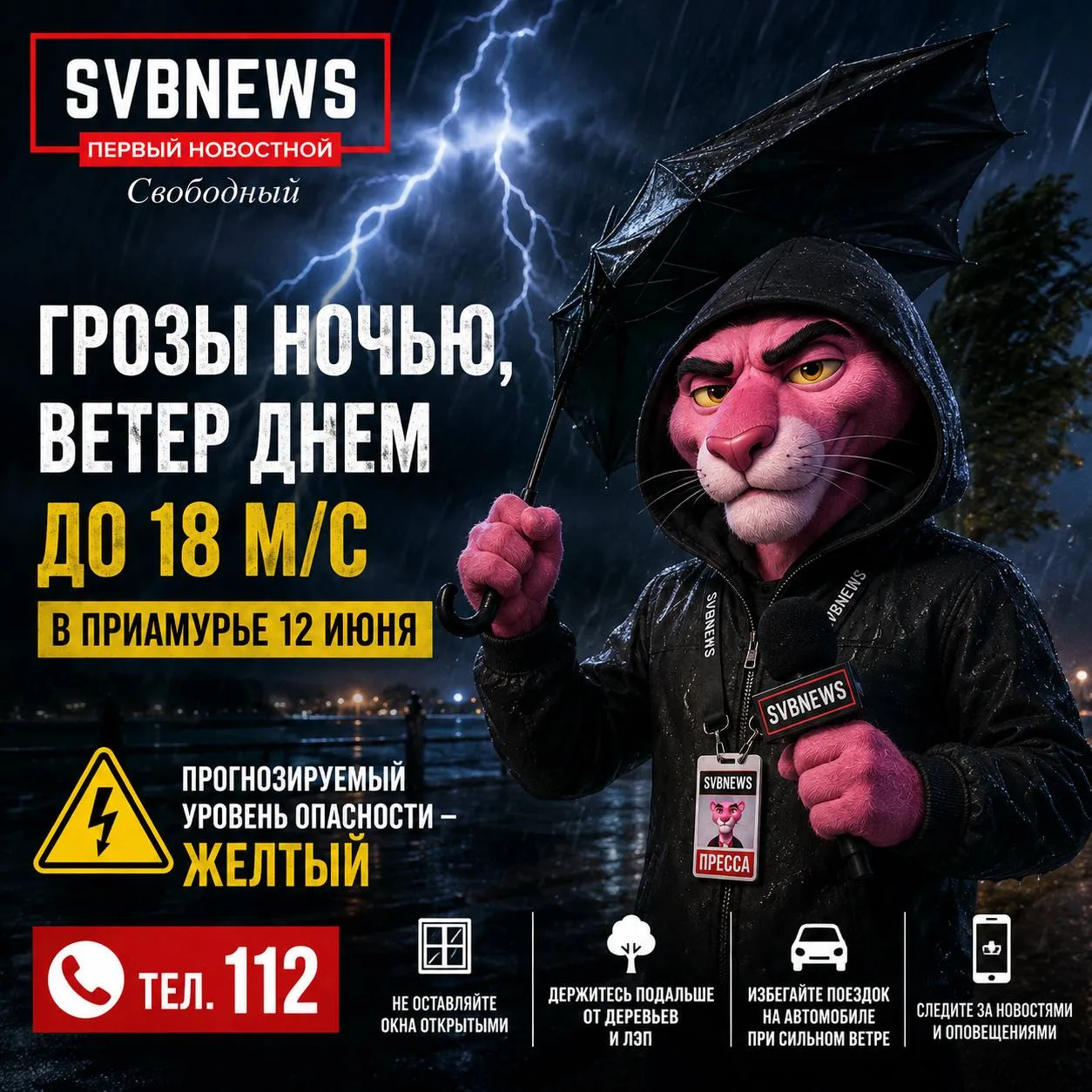 Ночью грозы, днем ветер до 18 м/с: в Приамурье объявлен желтый уровень опасности