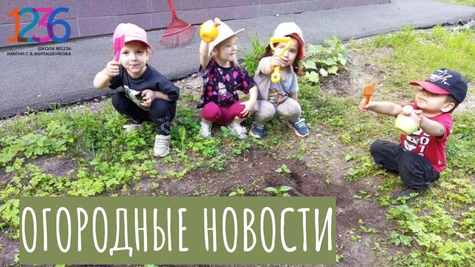 Рассказывает воспитатель Олеся Петровна Квернадзе:
 
 Продолжаем рассказ про наш огород. С большим э