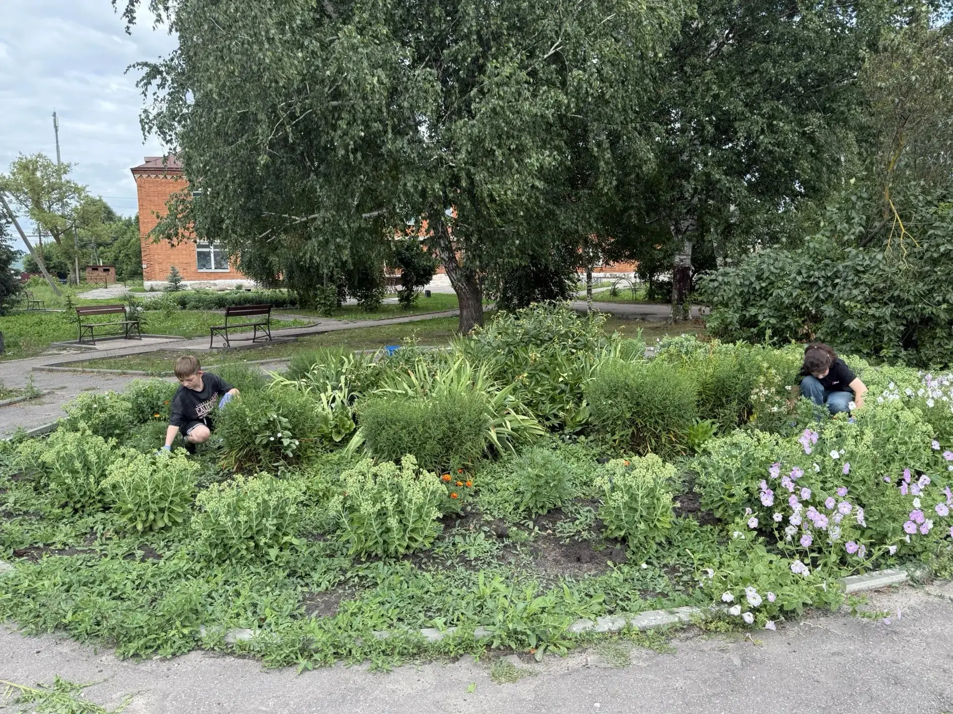 🫶Забота о селе: волонтёры школы ухаживают за клумбой в центральном парке

🌷🪻🌹Летние каникулы – в