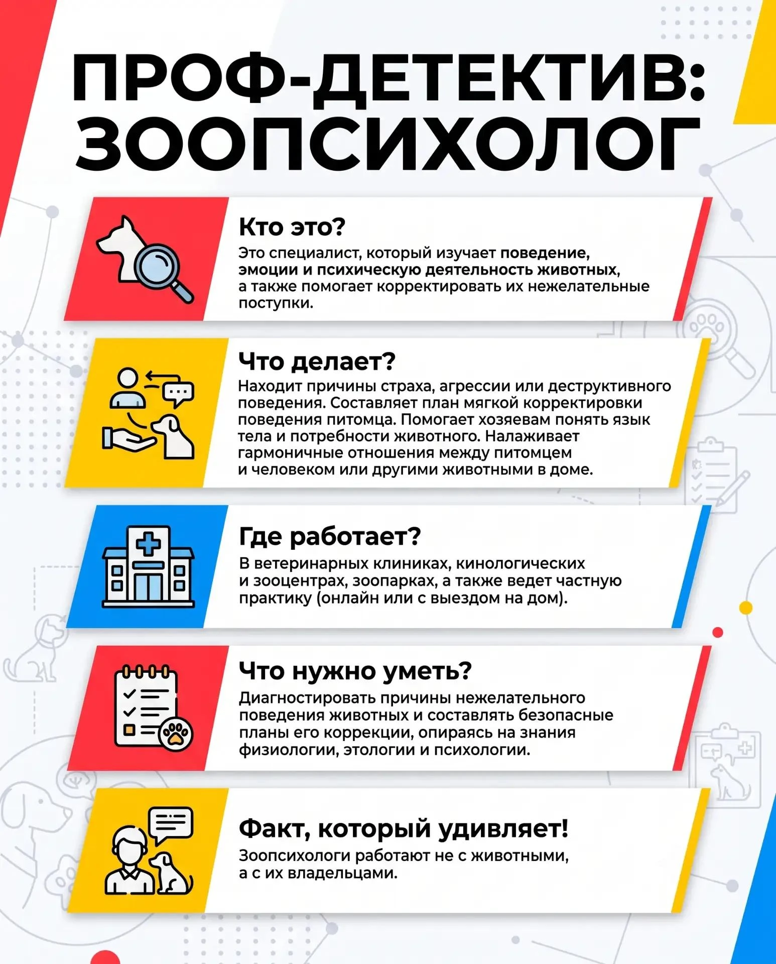 📚 Ученики 5 «Б» класса, участники «Движения Первых», выполнили интересное и познавател...