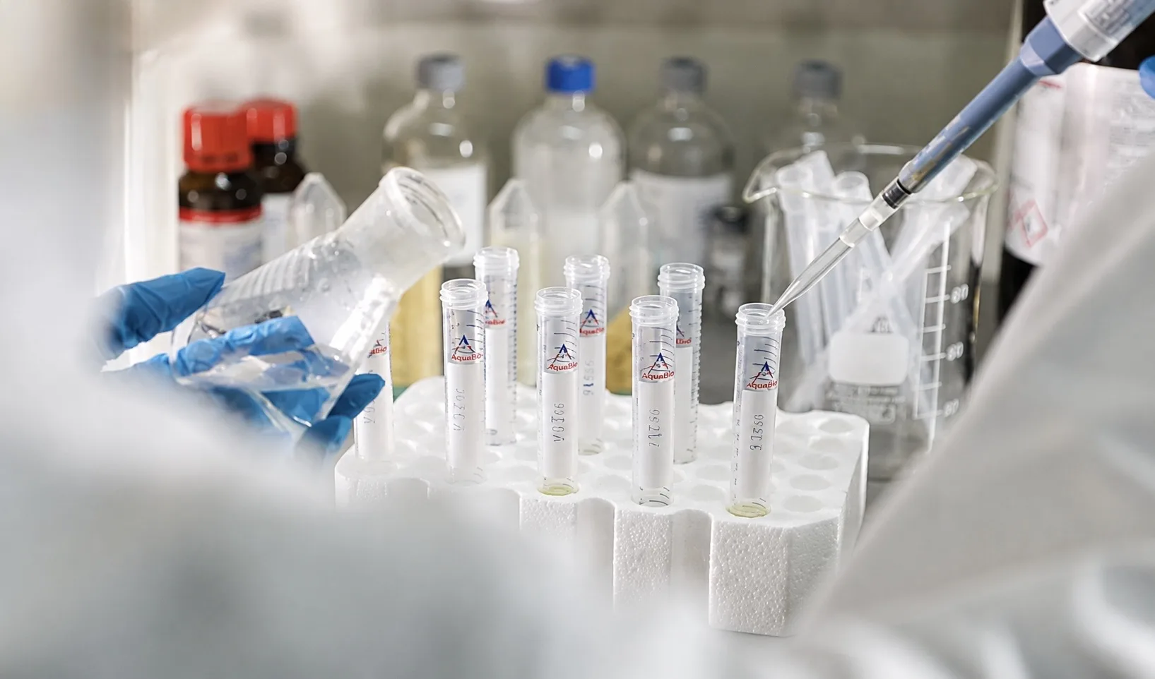 🦠С 1 по 25 августа специалисты ФГБУ «ВГНКИ» исследовали динамику роста контрольного шт...