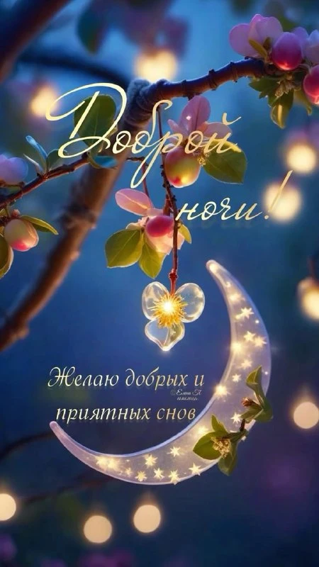 Ежедневные поздравления — тёплые пожелания на каждый день! 🎁✨