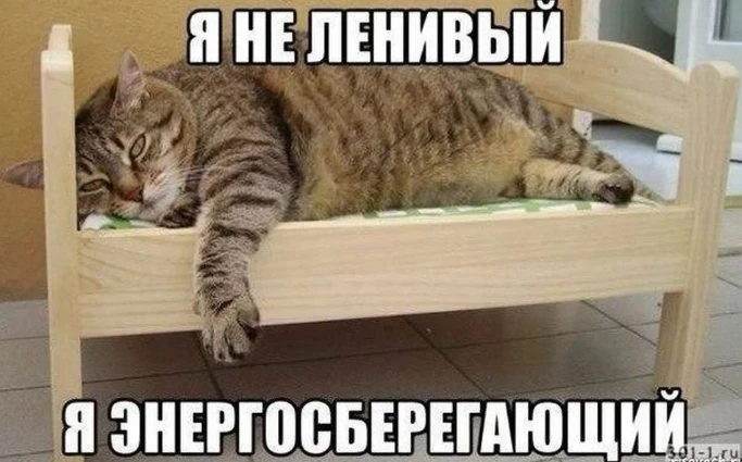 Мне все лень, знакомо?   П: «Доктор, я сплю по 10 часов, а просыпаюсь уже уставшей. Волосы лезут кло