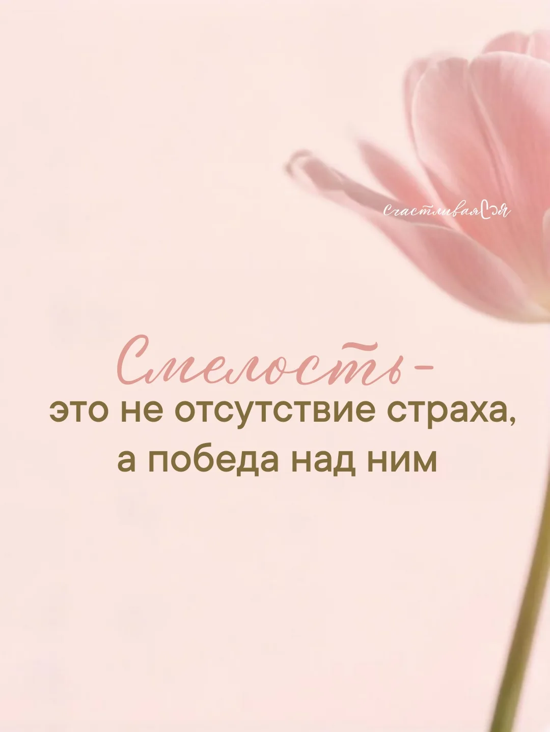 Она не ждала идеального момента — она сделала момент идеальным. Иногда первый шаг пугае...