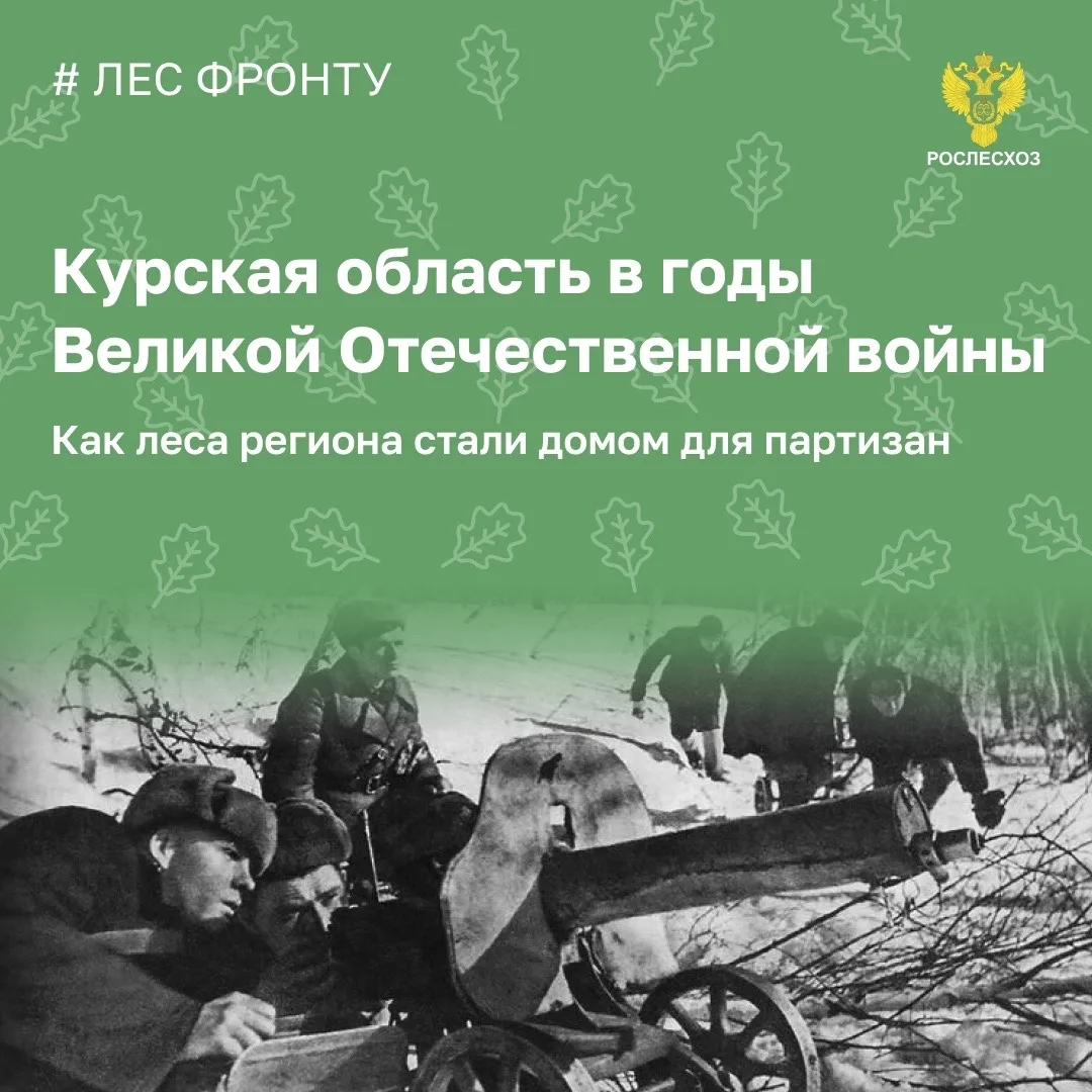 🟢 После оккупации Дмитриевского и Михайловского районов Курской области во время Великой Отечественн