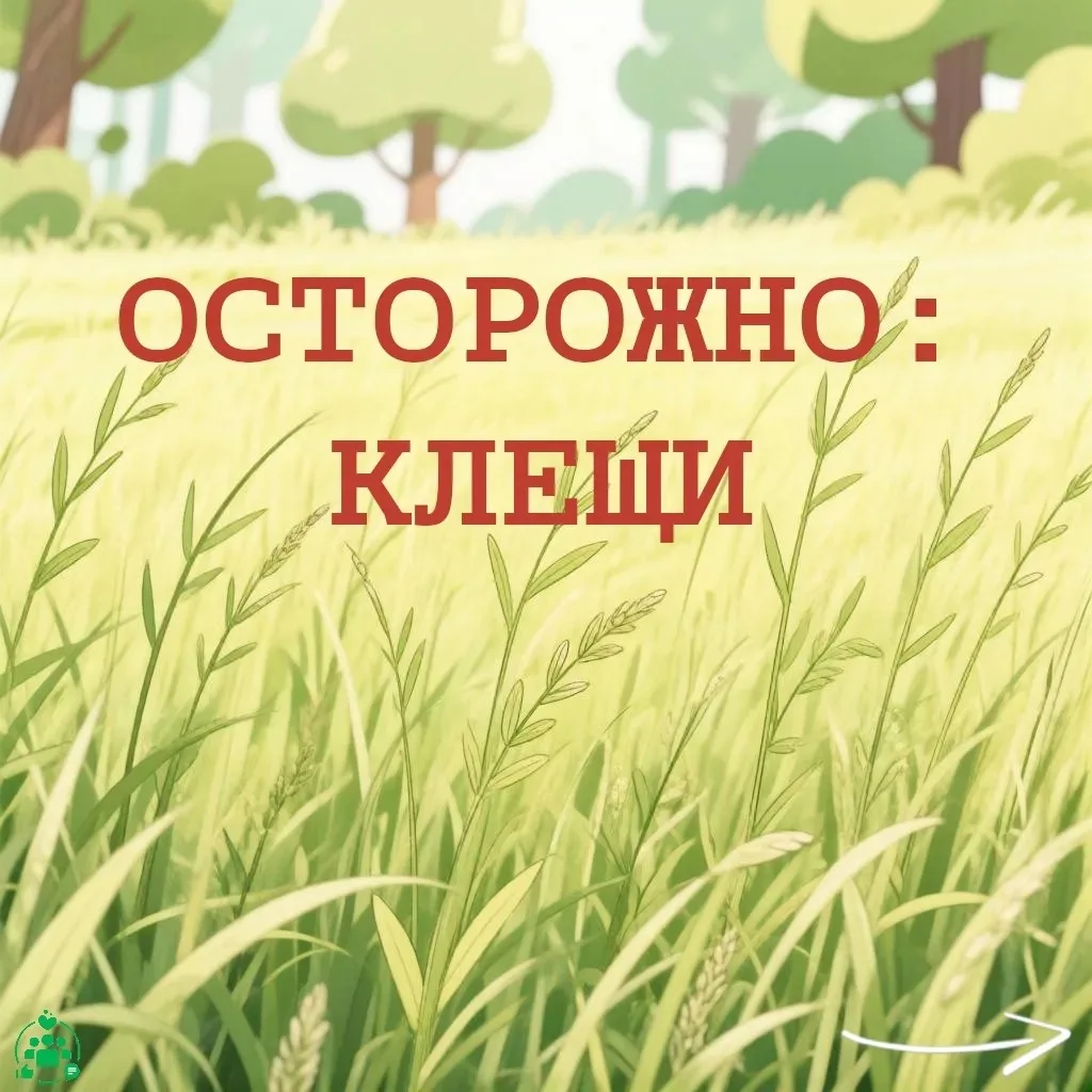 Осторожно, клещи!