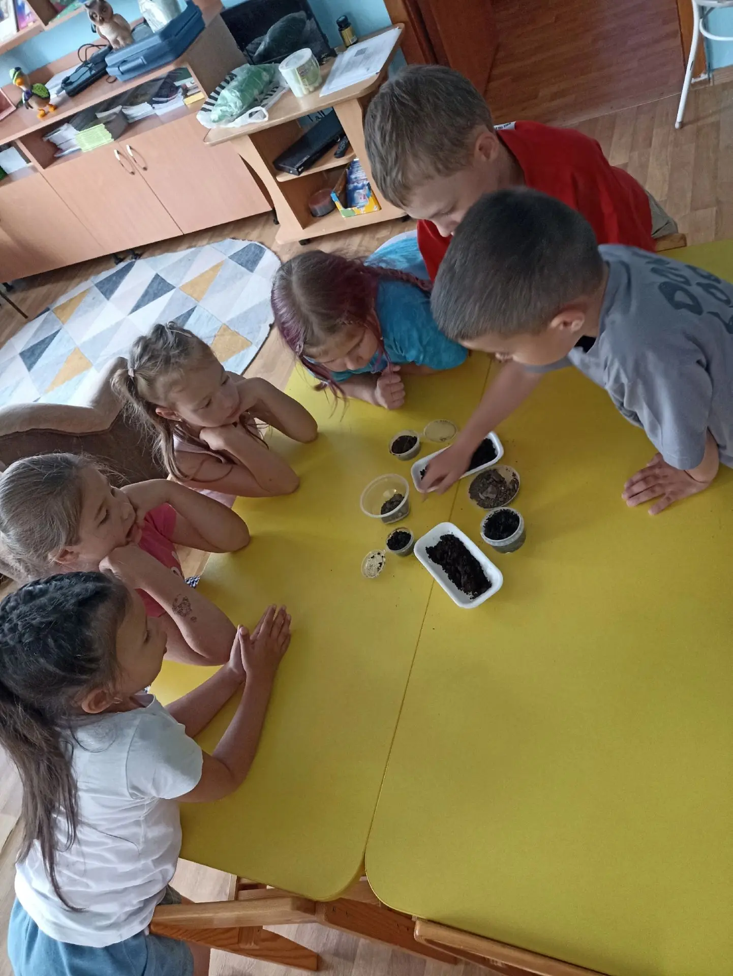 🔎🦗🗒️Развитие познавательно-исследовательской деятельности старших дошкольников в рам...