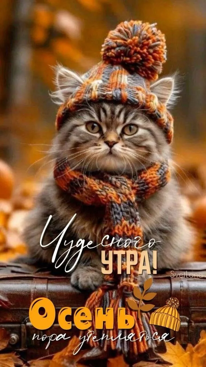 #утро